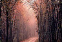 开云体育链接-尤文图斯客场激战帕尔马，领跑意甲积分榜势不可挡