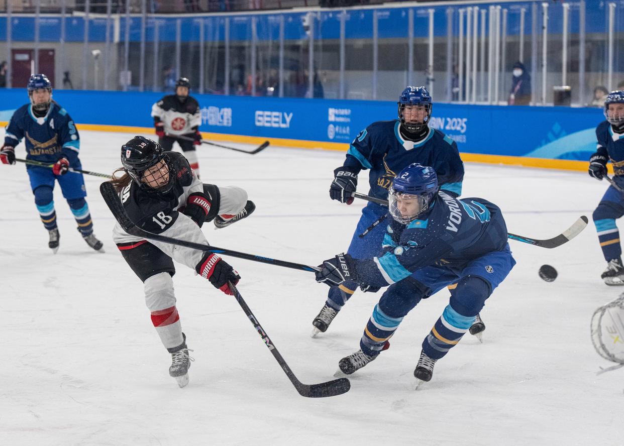 法国冰球队在比赛中力压对手取得胜利